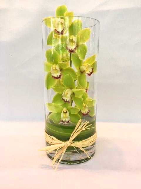 Cymbidium Vase image 0