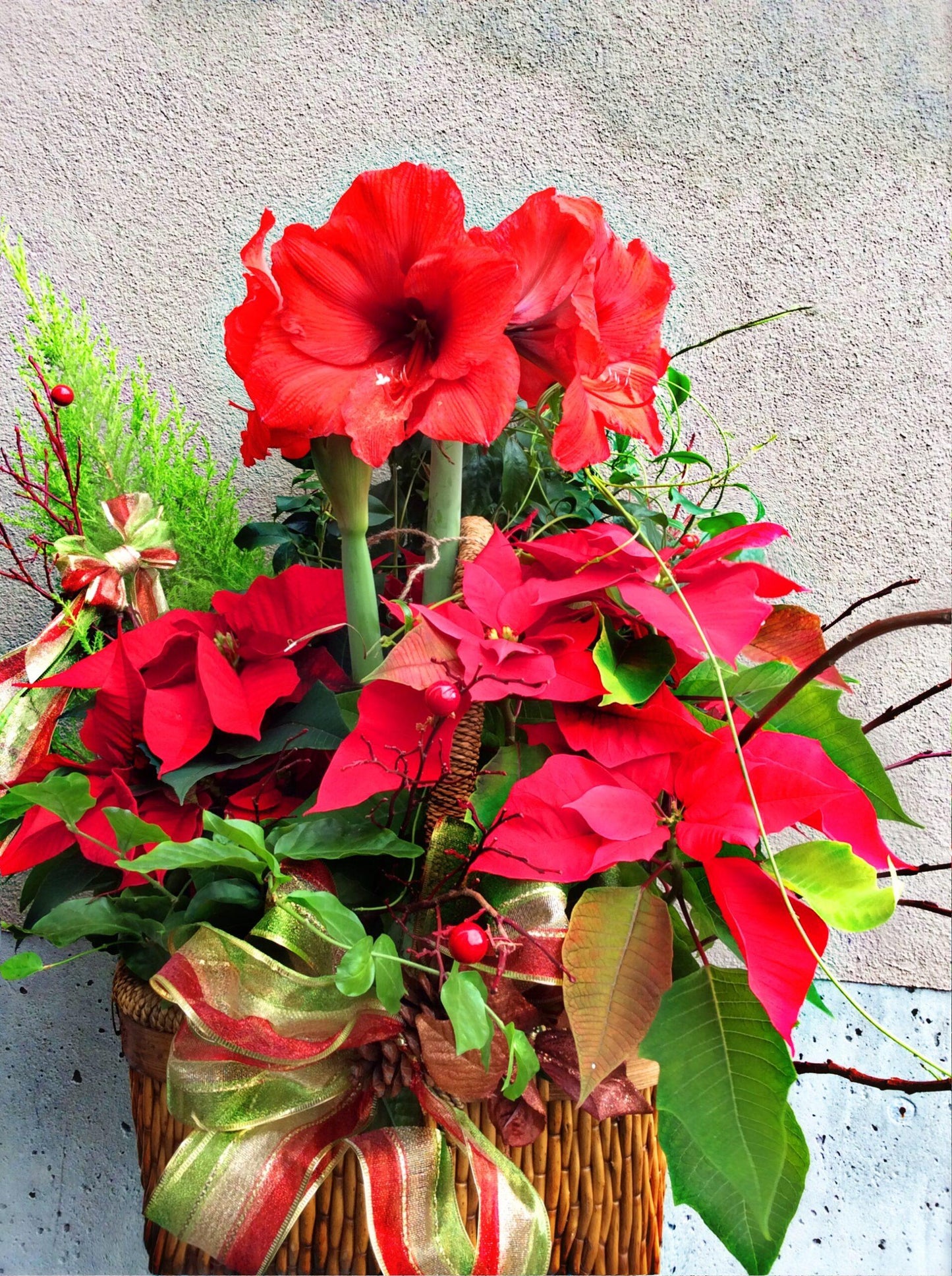 Merry & Bright Holiday Planter image 0