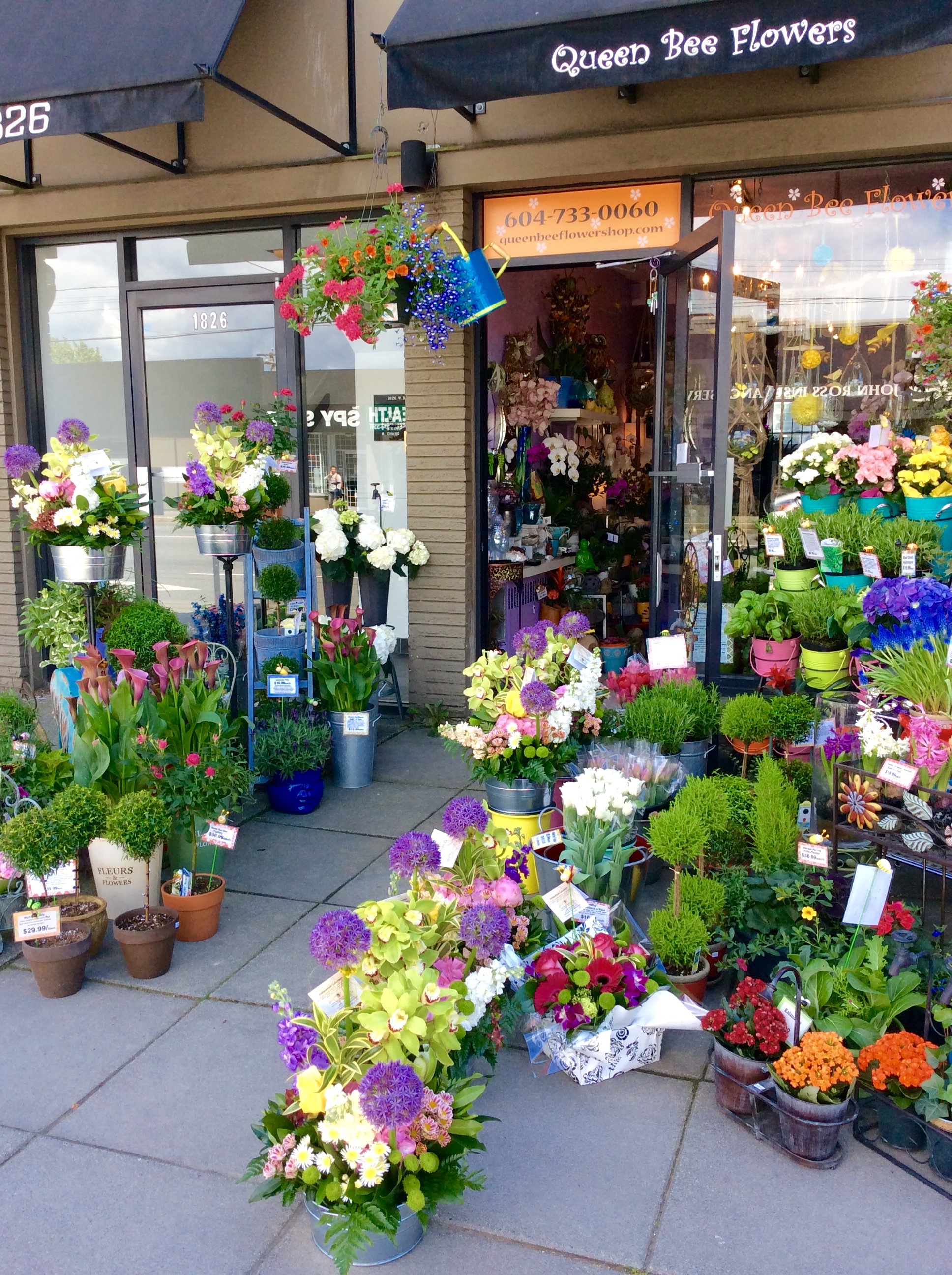 Most Common Flowers In Flower Shops Best Design Idea