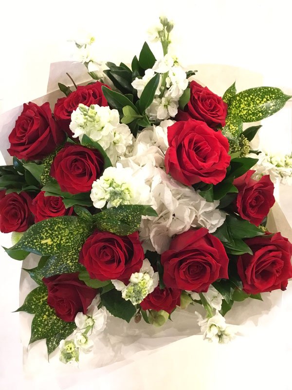 Rose Are Red My Love image 0