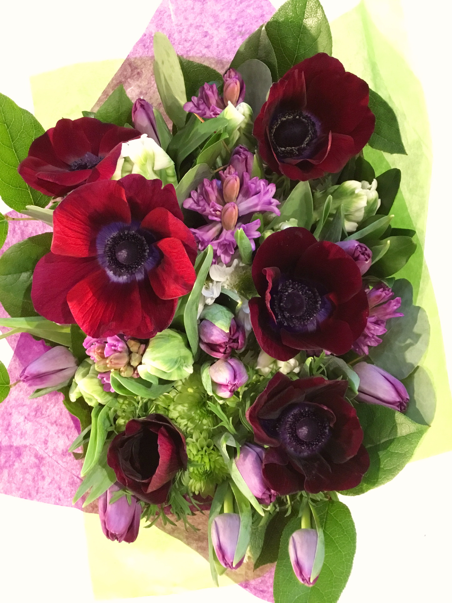 Plum Obsession image 0