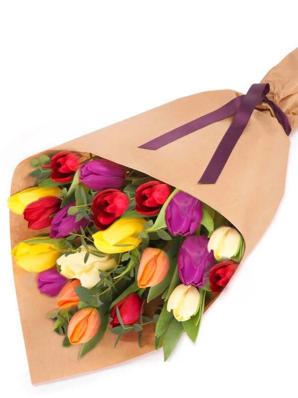 Time for Tulips image 0