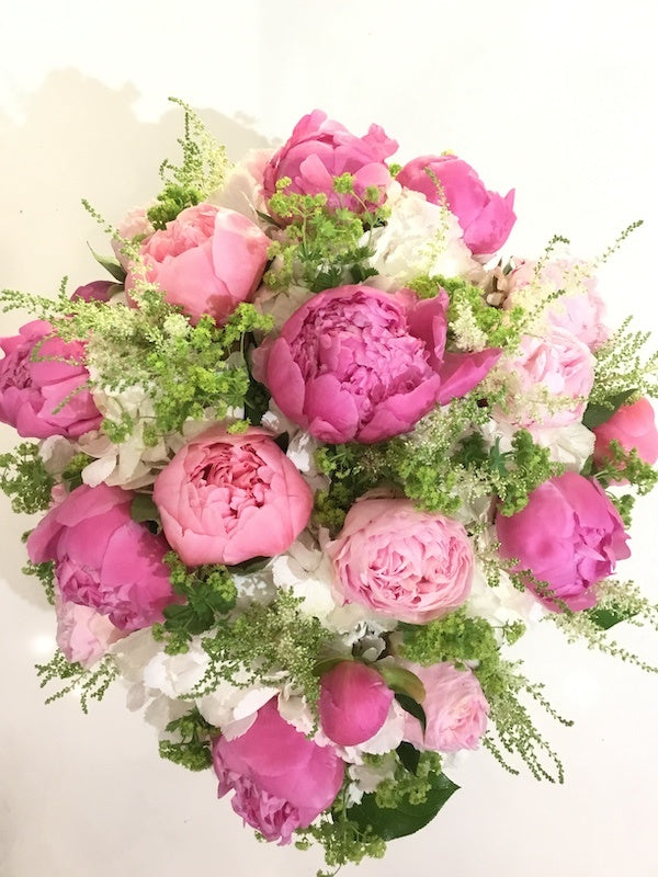 Pink Peony Princess image 0