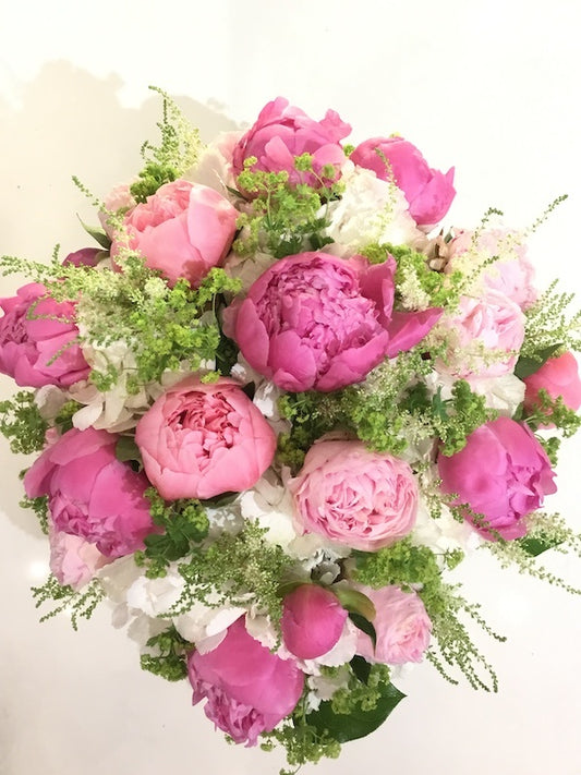 Pink Peony Princess image 0