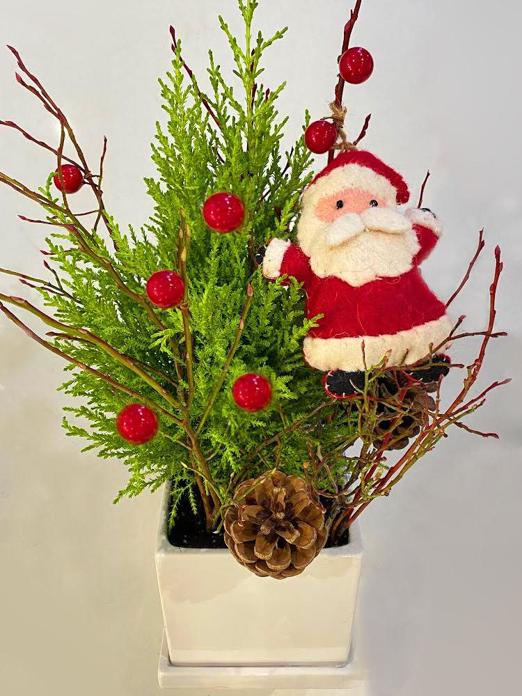 Oh Christmas Tree image 0