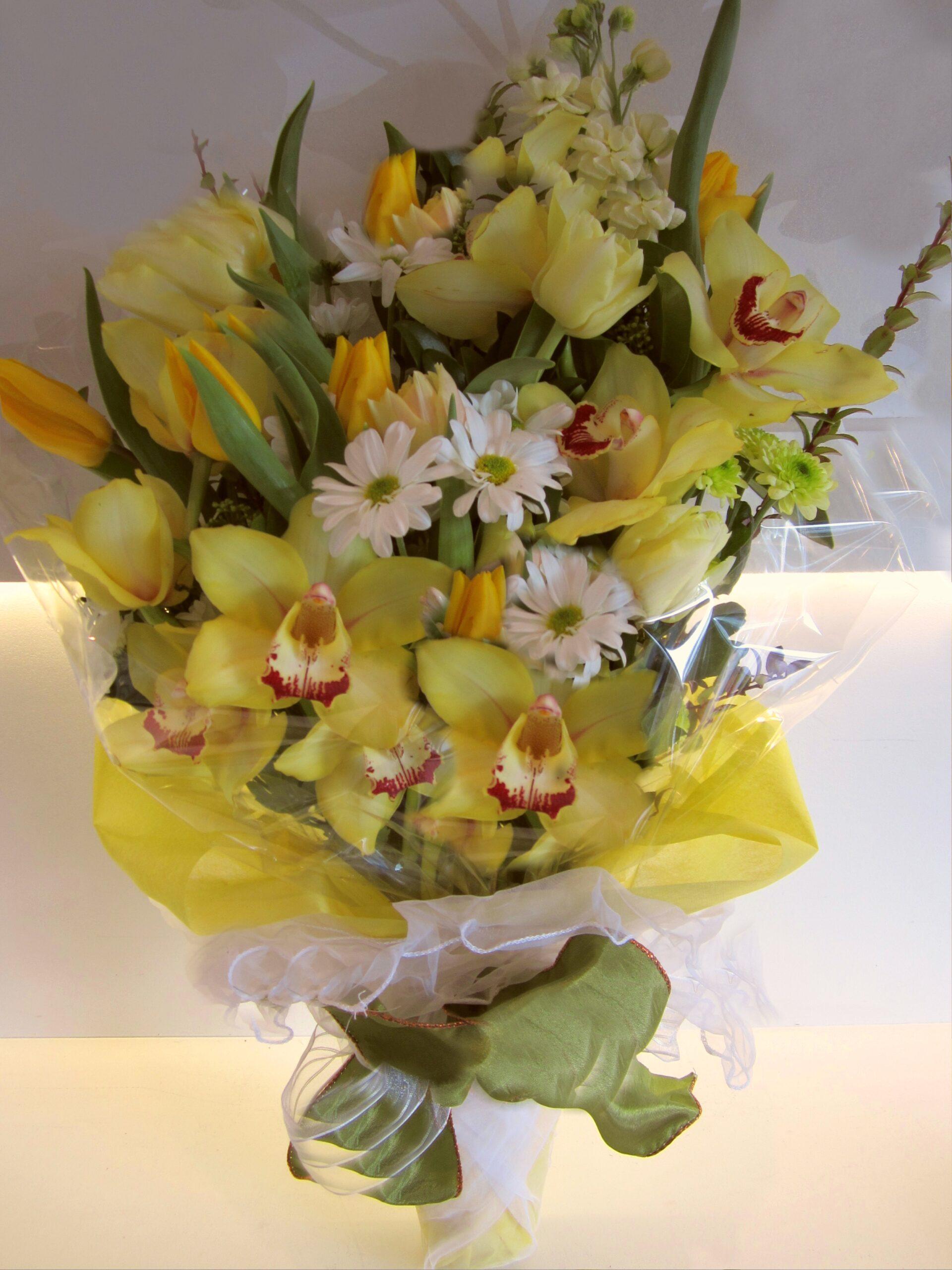 Sunshine Serenade image 0