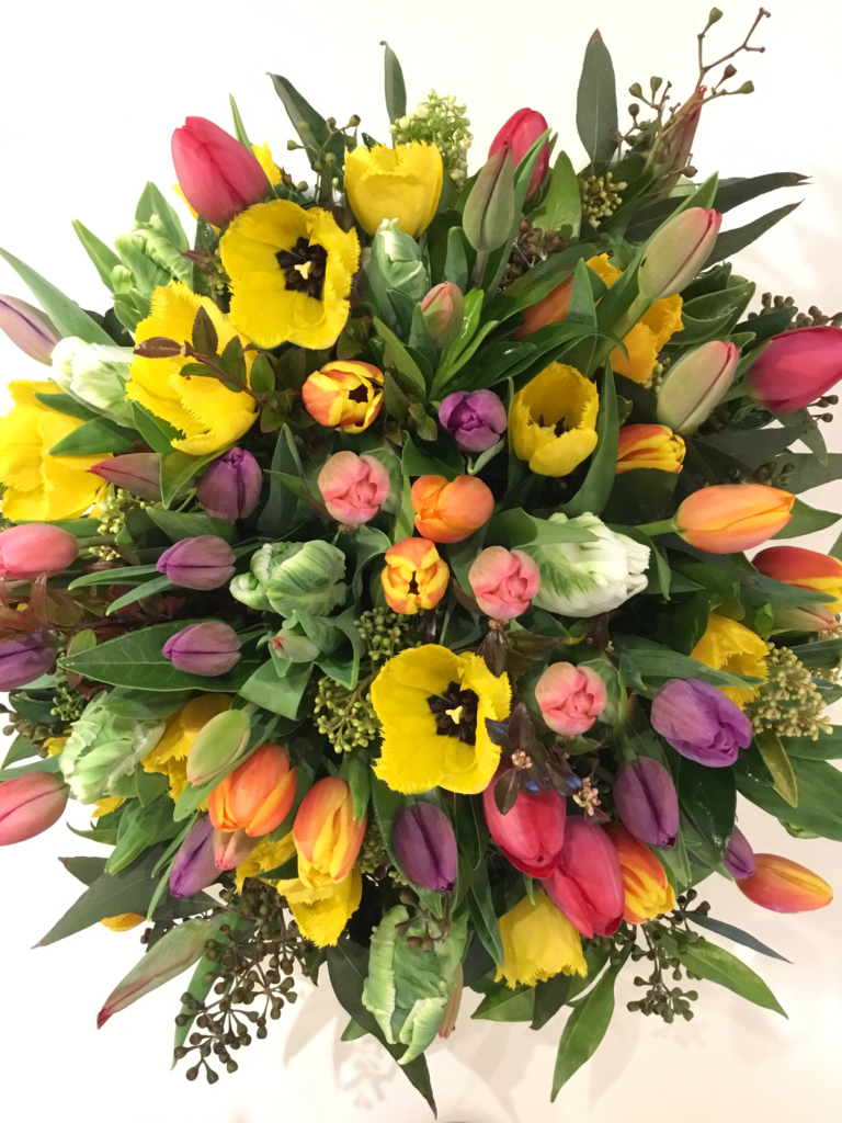 Tulip Obsession