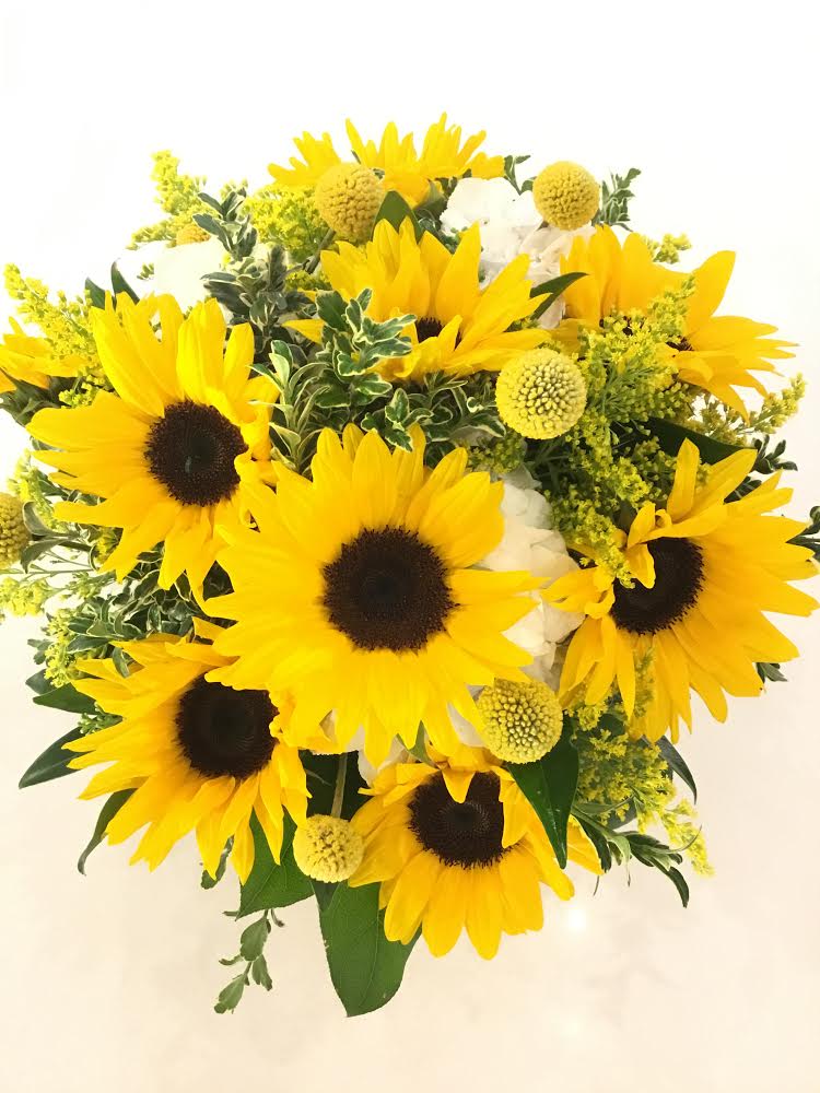 Love and Happiness image 0
