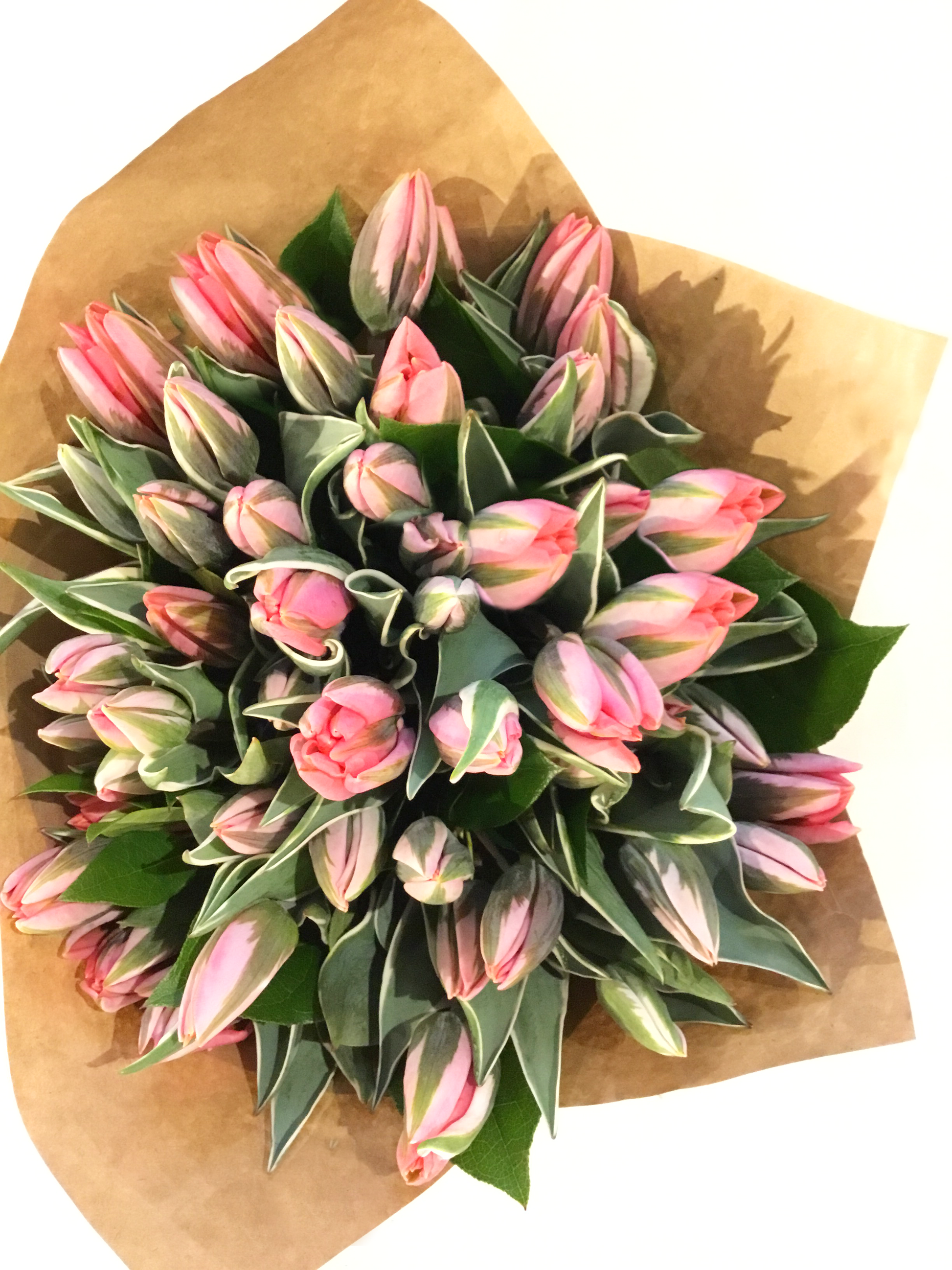 Simply Tulips Please image 0