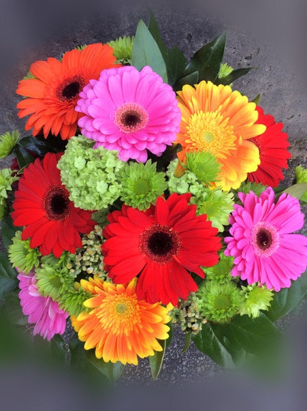 Glorious Gerbera Daisies image 0
