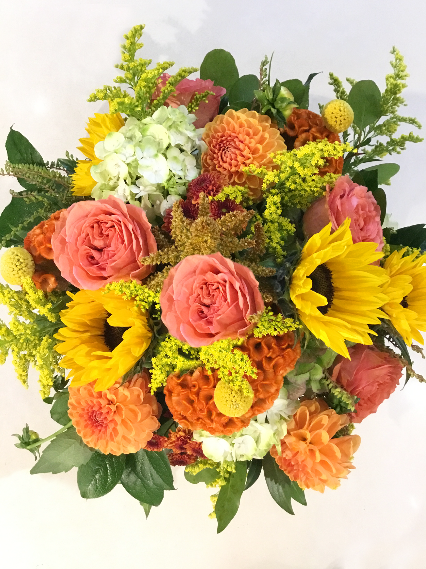 Autumn Sunshine image 0