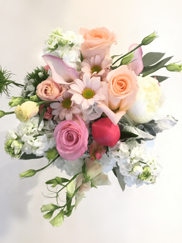 Pastel Perfection image 0