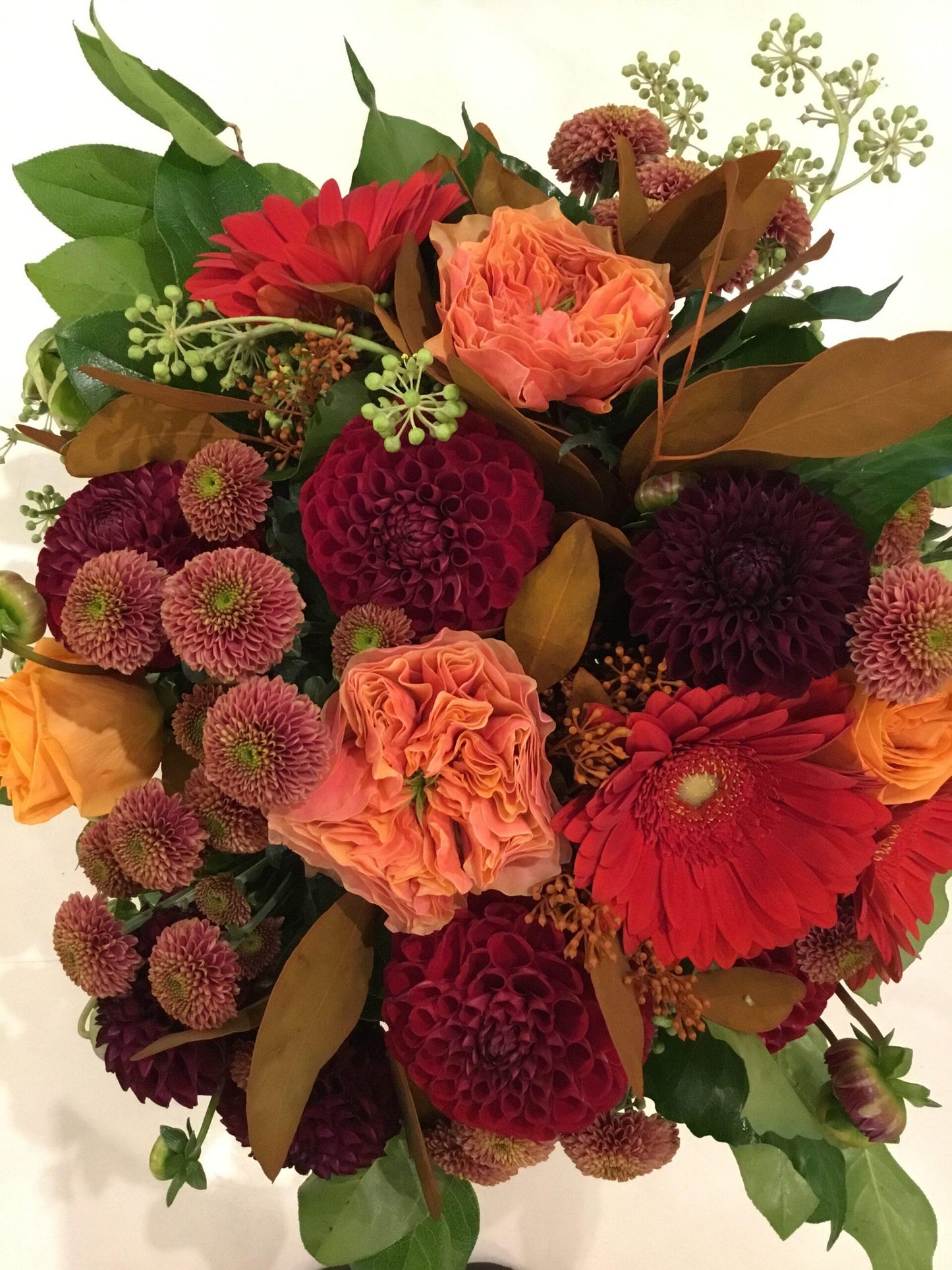 Autumn Rose image 0