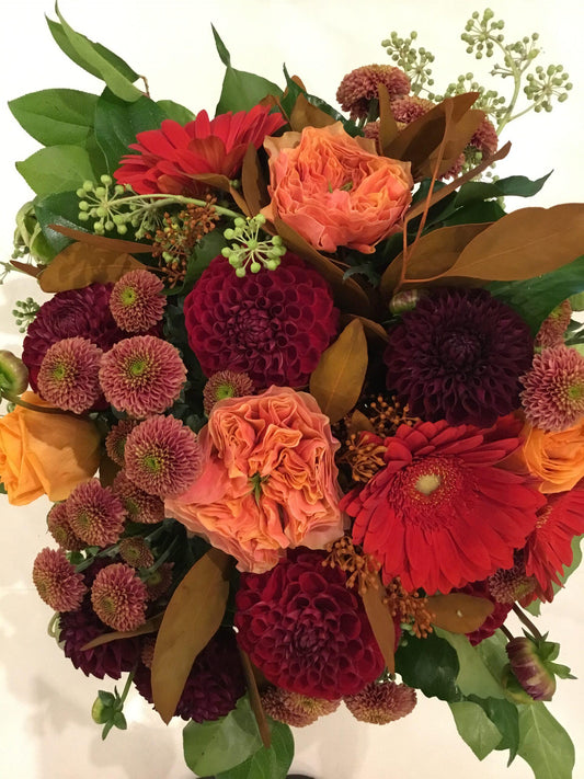Autumn Rose image 0
