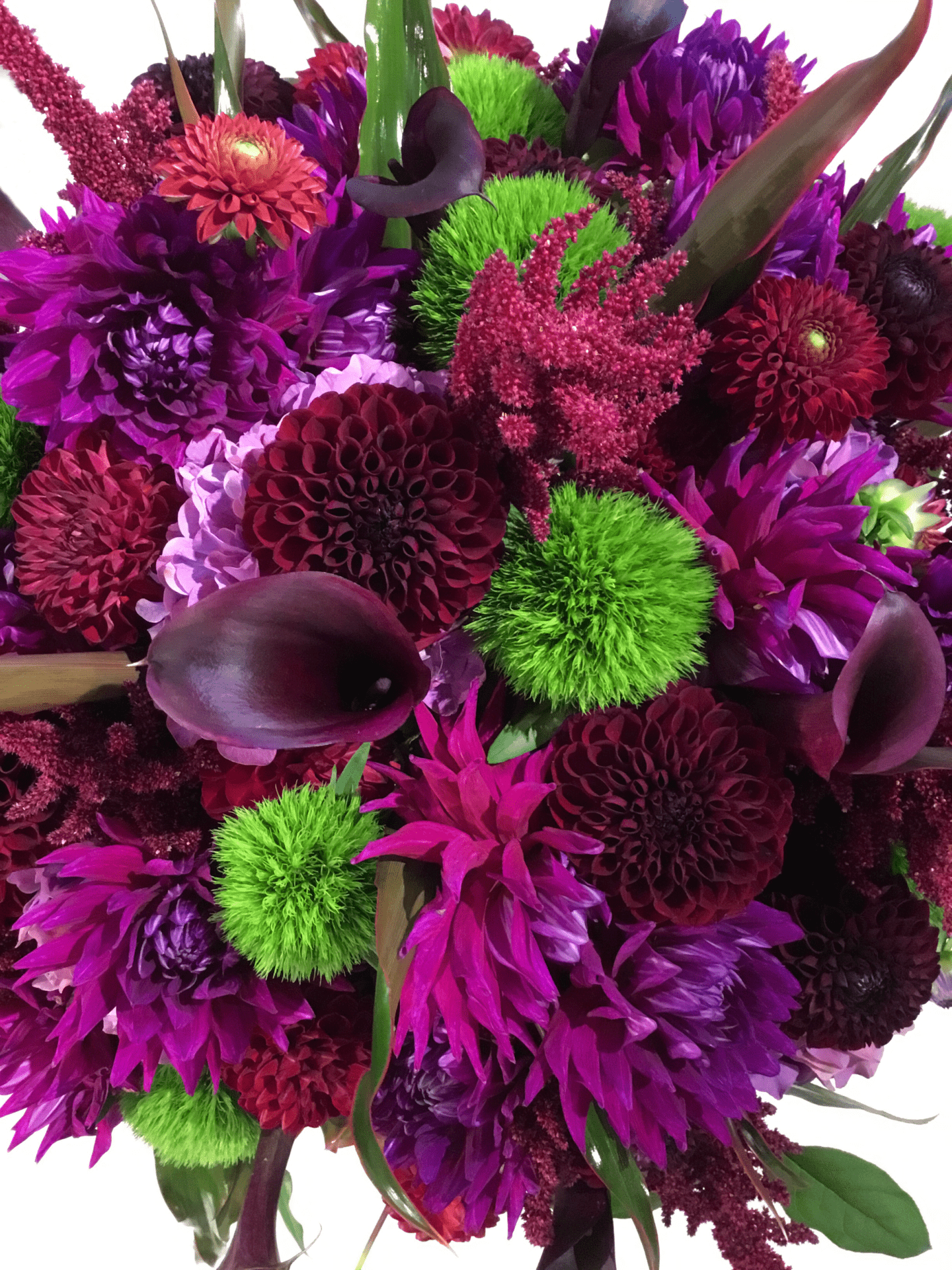 Plum Perfection image 0