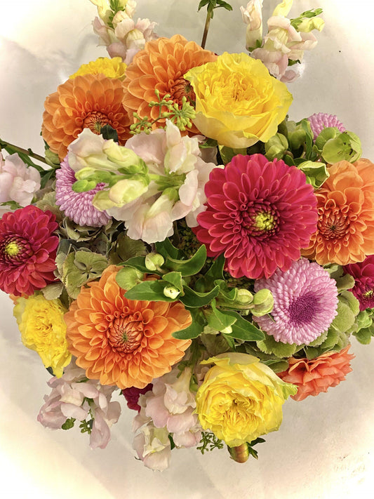 Dahlia Dreams image 0