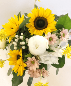 A Little Beauty Everyday