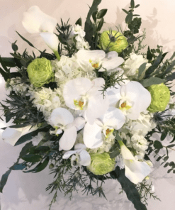 All is Calm, All is Bright