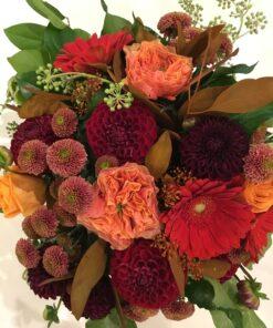 Autumn Rose