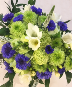 Blue Cornflower Magic