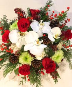 Bringing Holiday Cheer