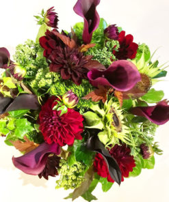 Crimson Splendor