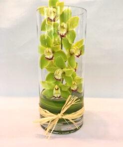 Cymbidium Vase