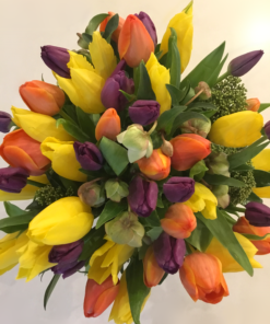 Living In Full Colour