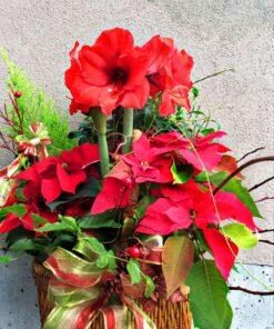 Merry & Bright Holiday Planter