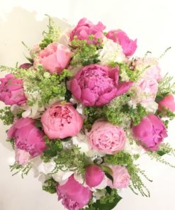 Pink Peony Princess
