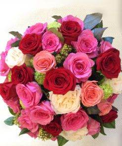 Everything-is-Coming-up-Roses