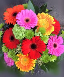 Glorious Gerbera Daisies