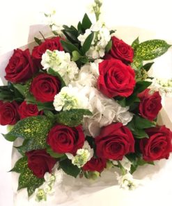 Rose Are Red My Love