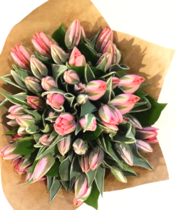 Simply Tulips Please