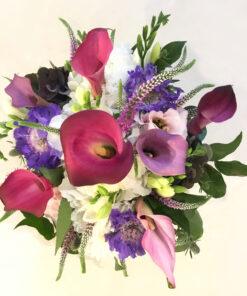 Super Calla Fragilistic Expialidocious!